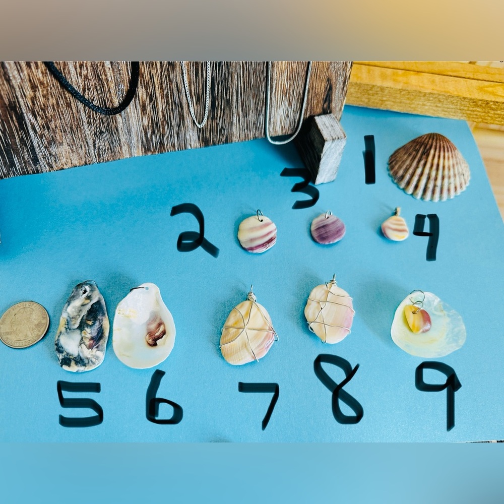 🌊 Authentic Seashell Necklace-purple wampum oyster scallop 1-9 🐚